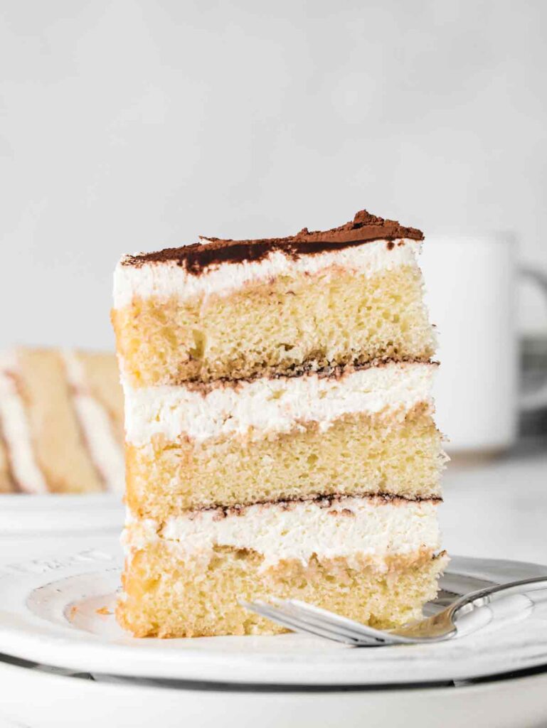 Slice of cake with cocoa powder topping on plate with fork.