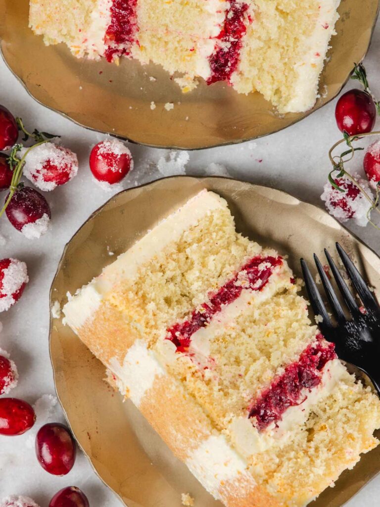 Two slices of cake with cranberry jam layers on plate.
