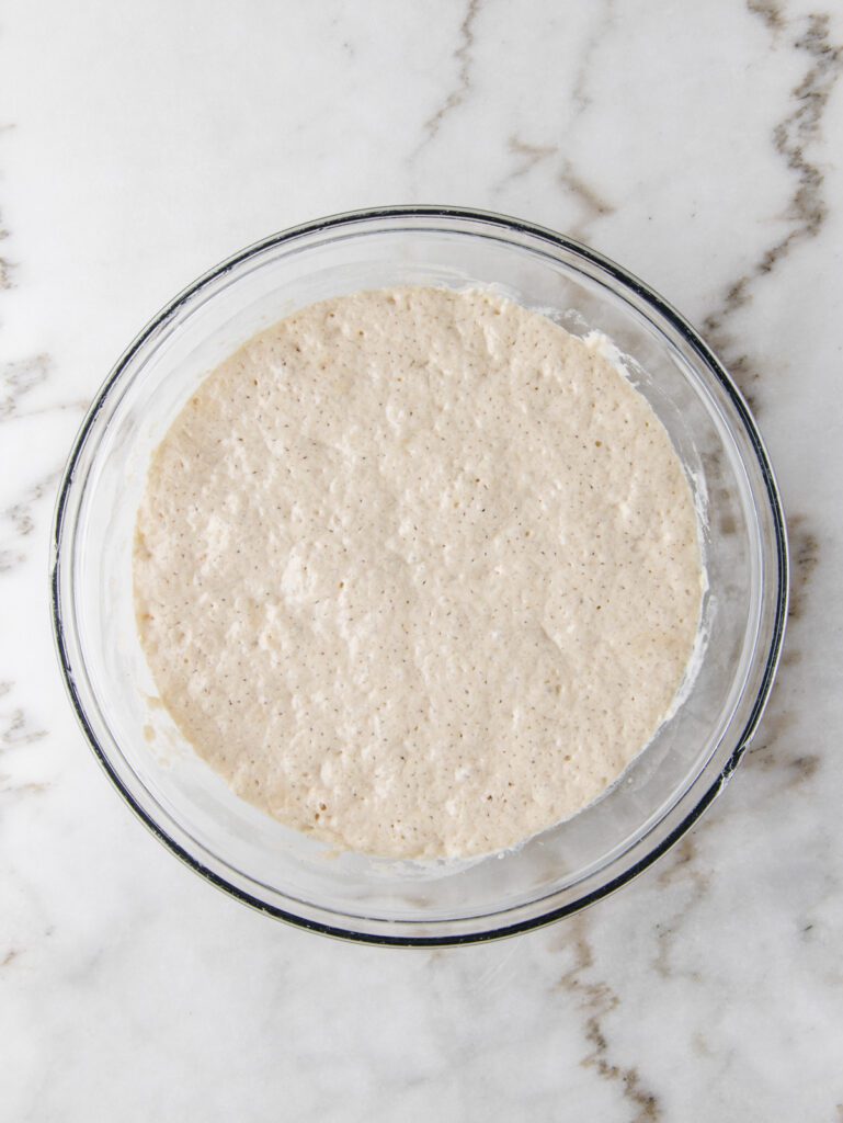 Risen bread starter.
